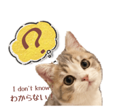 842000606