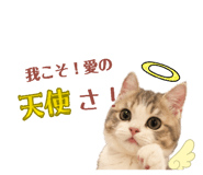 842000607