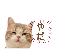 842000616
