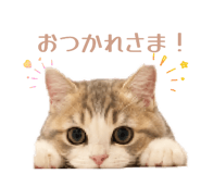 842000619