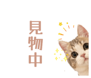 842000624