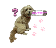 842000739