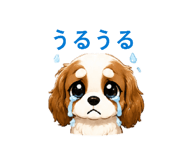 842000780