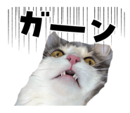 842002204