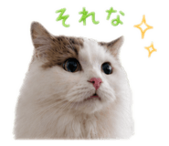 842002275