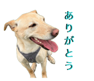 842002357