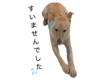 842002372
