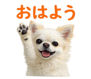 842002417