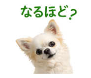 842002423