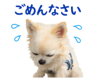 842002425