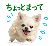 842002436