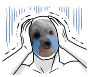 842002478