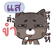842005096