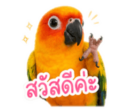 842008793