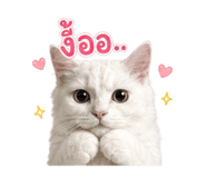 842010914