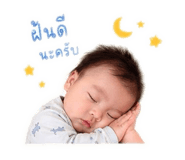 842011516