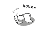 842011626