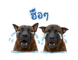 842012184