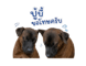 842012190