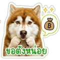 842012239