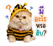 842012349