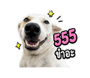 842012409