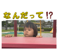 842012586