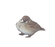 842012685