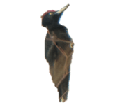 842012687