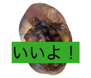 842012843