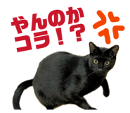 842013246