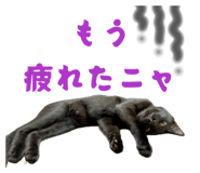 842013251