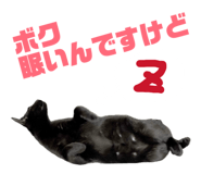 842013253