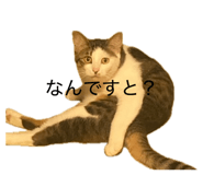 842013309
