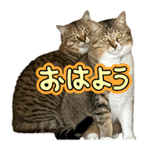 842013315