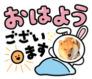 842013320