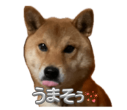 842013322