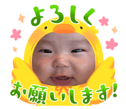 842013342
