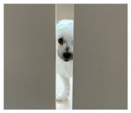 842013650