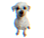 842013653