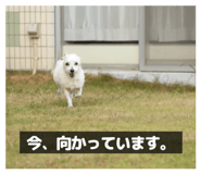 842013663