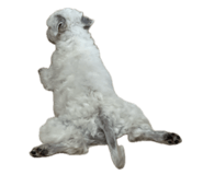 842013669
