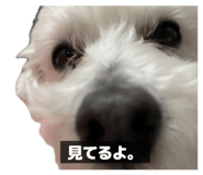 842013681