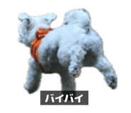 842013688