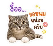842014261