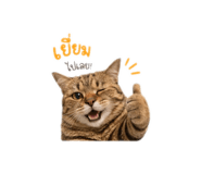 842015058