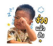 842015229
