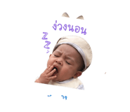 842016081