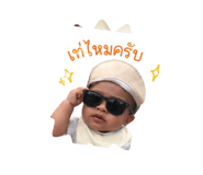 842016088
