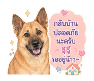 842016507